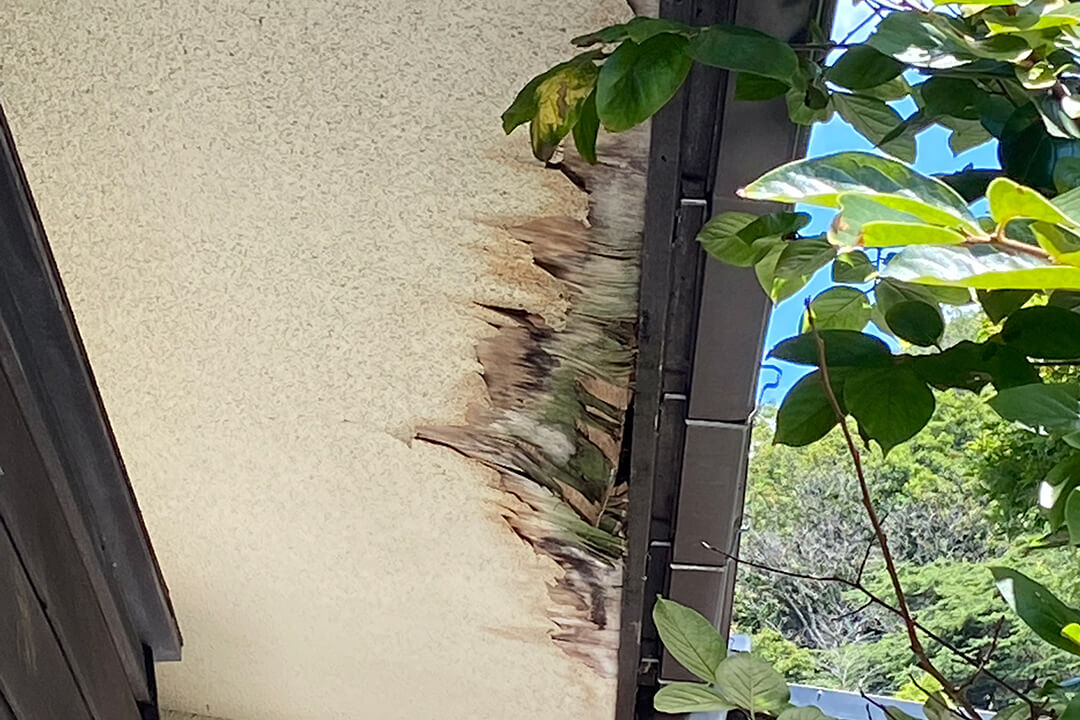 【軽量化】雨漏り 雨漏りしている屋根